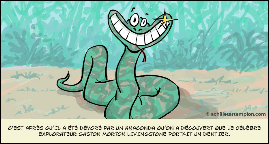 C'est après qu'il a été dévoré par un anaconda qu'on a découvert que le célèbre explorateur Gaston Morton Livingstone portait un dentier.