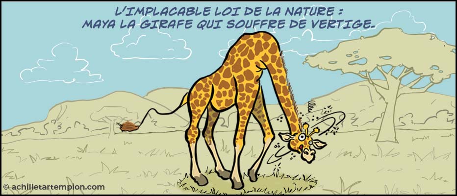 L'implacable loi de la nature : Maya la girafe soufre de vertige